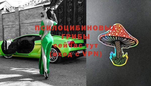 тгк Покачи